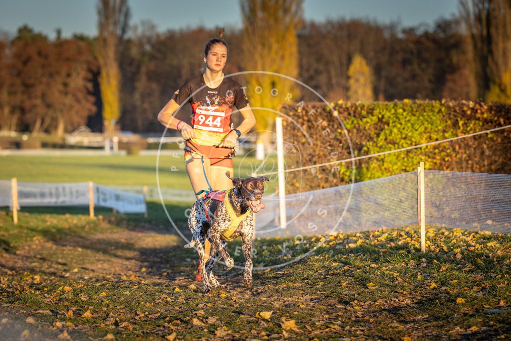 CaniXpix_DV3A5439 | Hundefotografie, Tierfotograf, Pfotenfotografie, Fotoshooting Hund, Hunde Portrait, Hundesport, Hundeportraits, Heideshooting, Hunde, Sportfotograf, Hundefotograf, Turnierhundsport, THS,  - Realisiert mit Pictrs.com
