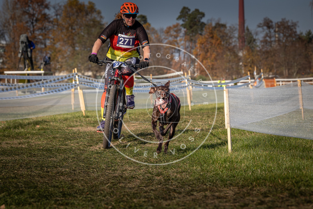 CaniXpix_0L8A7841 | Hundefotografie, Tierfotograf, Pfotenfotografie, Fotoshooting Hund, Hunde Portrait, Hundesport, Hundeportraits, Heideshooting, Hunde, Sportfotograf, Hundefotograf, Turnierhundsport, THS,  - Realisiert mit Pictrs.com