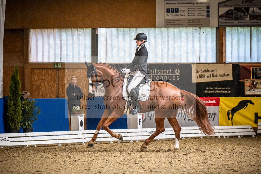 DOS_1841 | Entdecke hochwertige Reitturnierfotos von Foto Oger. Professionell, emotional und authentisch – jetzt Lieblingsmomente im Shop bestellen.Deutschlandweite Turnierfotografie. - Realisiert mit Pictrs.com