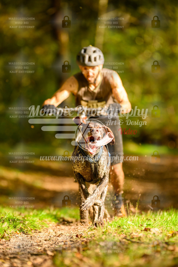 MompixPhotography_20TSB_E1_DS1-8 | PayLife