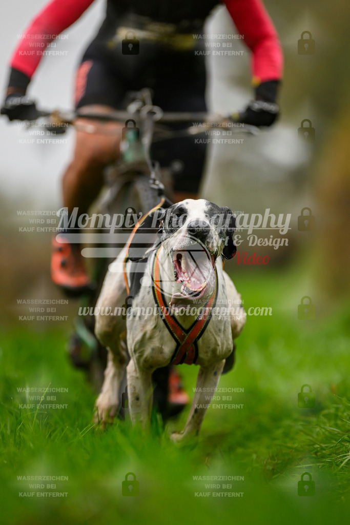 MompixPhotography_20TSB_E8_Bike-46 | PayLife
