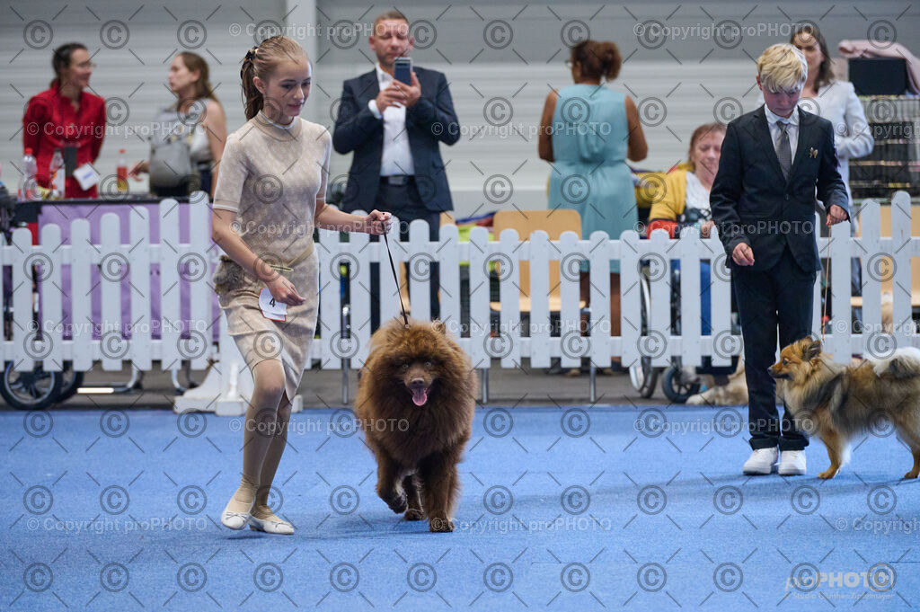 202406_ÖKV-IHA-Tulln24_DSC_4692 | proPHOTO - Realisiert mit Pictrs.com