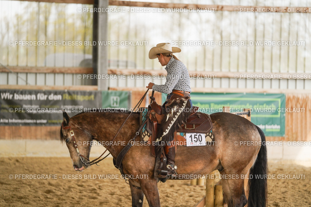 DSC02720 | Pferdegrafie