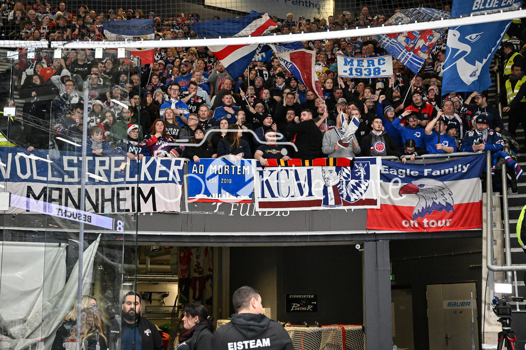 Augsburger Panther - Adler Mannheim | Die Fans aus Mannheim feiern ihr Team nach dem Sieg in Augsburg / DEL: Augsburger Panther - Adler Mannheim, Curt Frenzel Stadion am 26.12.2024