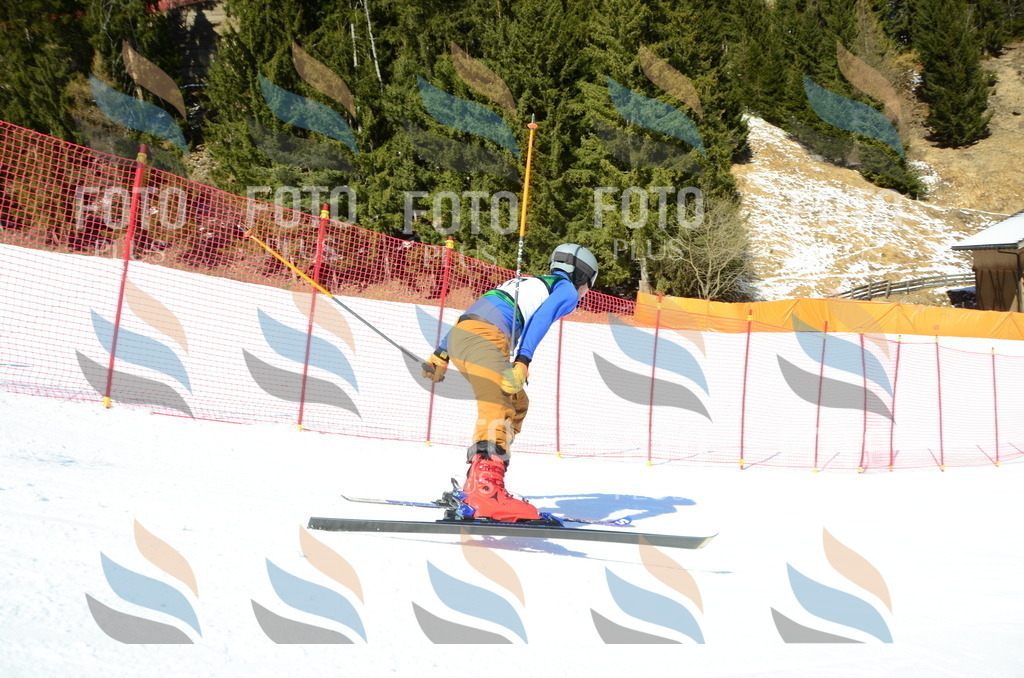 C6703 | holidayphoto