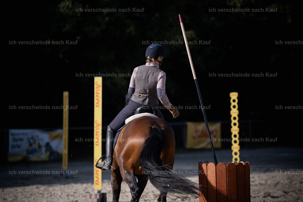 WS_SP_46_Stoibphotography_SO12427 | working equitationturnier fotograf videograf stoibphotography marixx film working equitation deutschland reitsport turnierfotografie eventfotografie equestrian events
