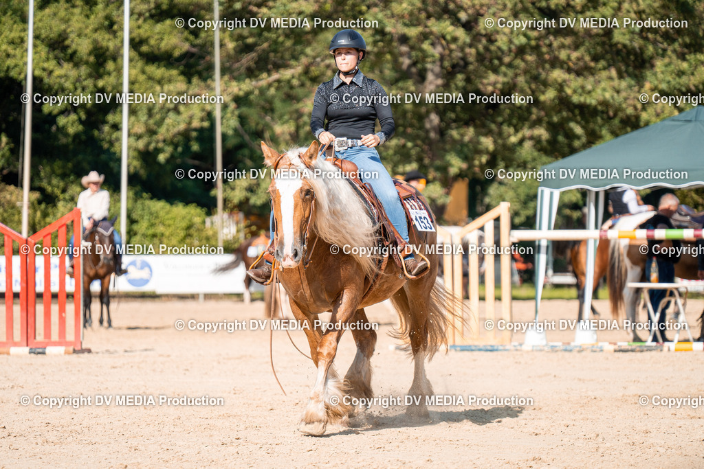 ZH100741 | dv-media-shop - Realisiert mit Pictrs.com