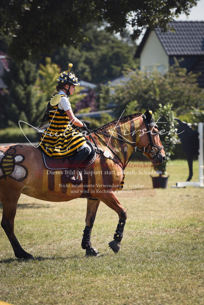 DSC_0277 | Pferde- und Turnierfotografie in Westsachsen. Pferdeportraits, Auftragszeichnungen und intuitive Kunst.
