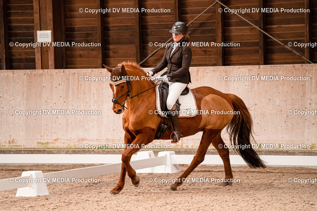 Dressur Tag 2-238 | dv-media-shop - Realisiert mit Pictrs.com