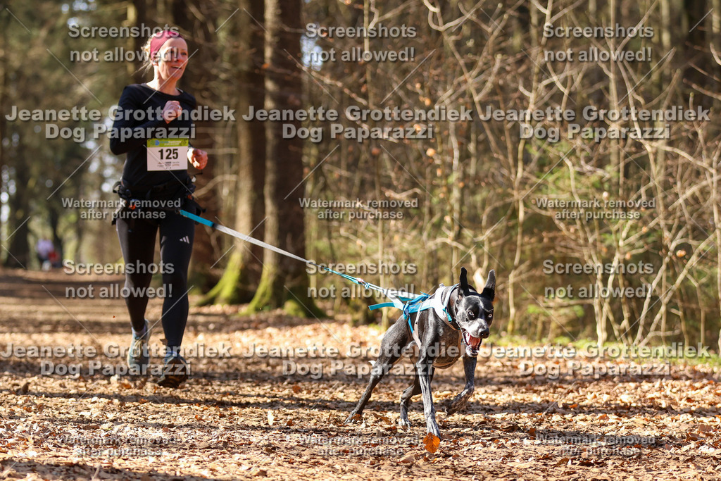 Dog Paparazzi - VCC26-1165 | Dog Paparazzi Jeanette Grottendiek Fotografie & Videografie - Realisiert mit Pictrs.com