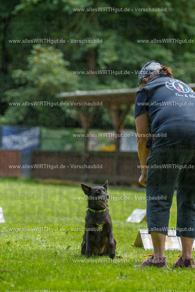 @allesWIRTHgut_Tierfotografie - www.allesWIRTHgut.de - 124539-7R509431 | Professionelle Tierfotografie in Mönchengladbach von Daniel Wirth (allesWIRTHgut). Liebevolle & natürliche Bilder von Hunden & Katzen für unvergessliche Erinnerungen.