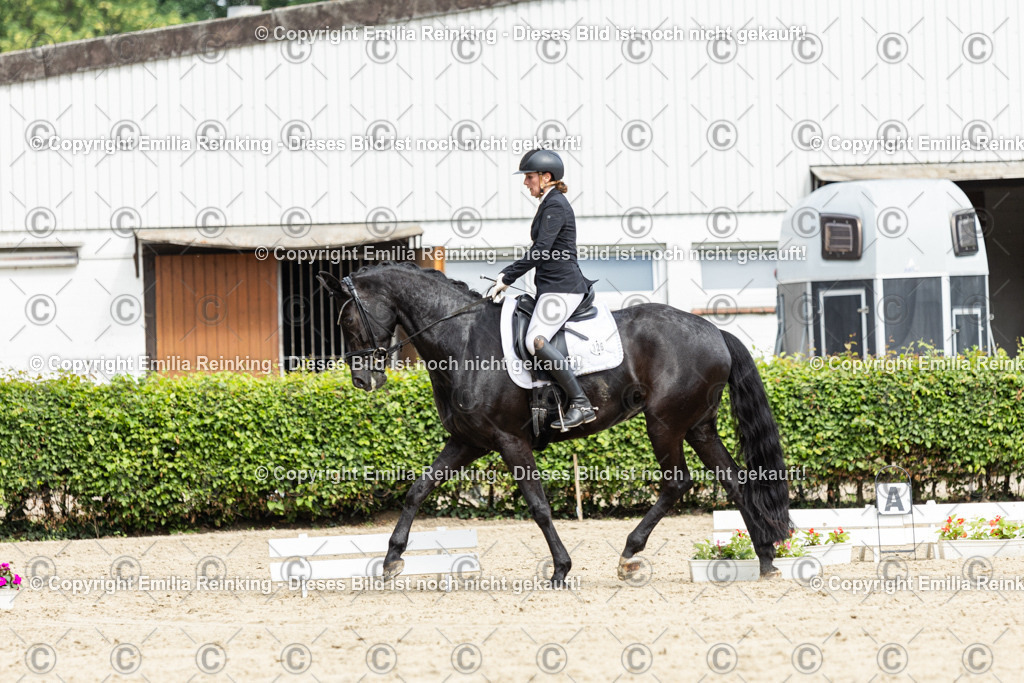 CL5A5139-2 | Emilia Reinking Fotografie - Realisiert mit Pictrs.com