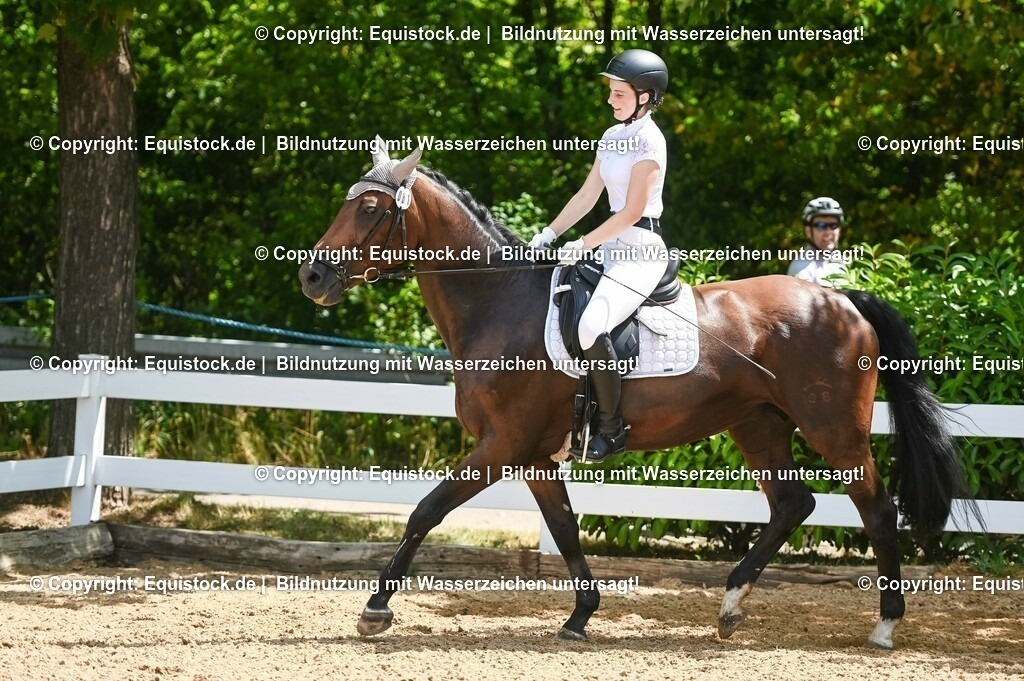 20230715_09_Dressur-WB_0259 | equistock