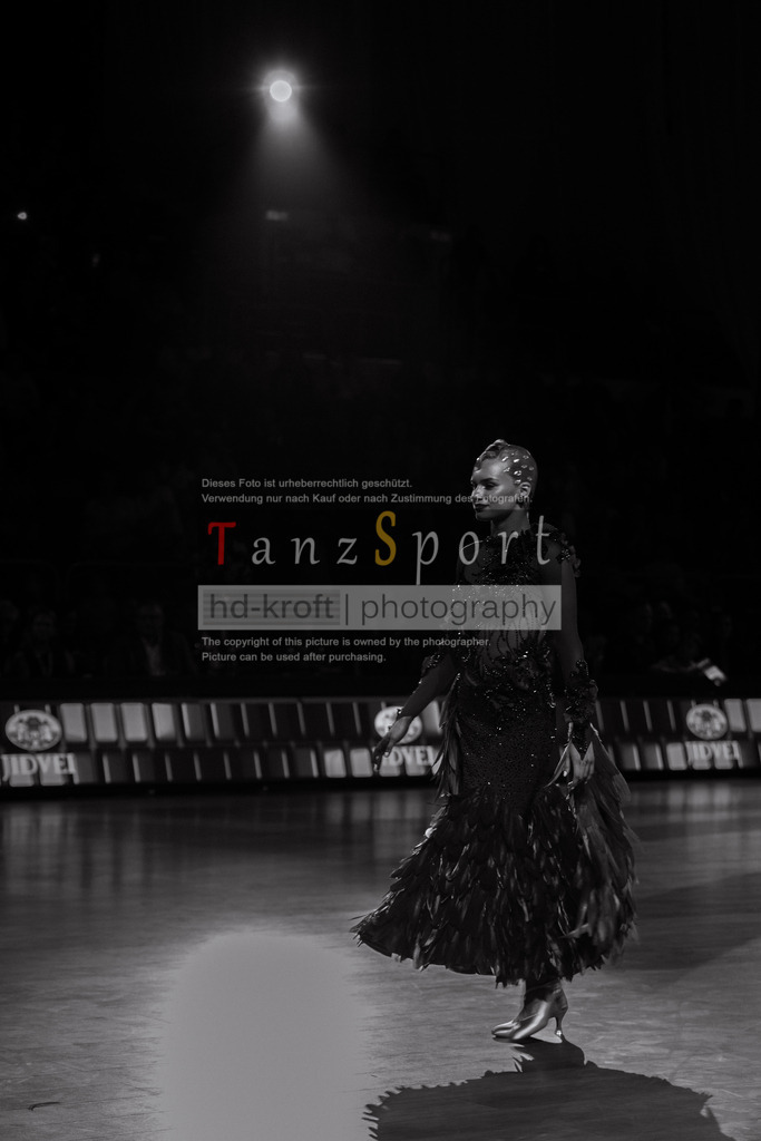20251101_TGP_6120 | Tanzsportbilder, Standardtanz, Lateintanz, WDSF, DTV, LTVB, dancecomp, goc, hessen tanzt, blaues band der spree, walzer, tango, wiener walzer, slowfox, quickstepp, samba, rumba, cha-cha-cha, paso doble. jive, hd-kroft photography, turniertanzsport