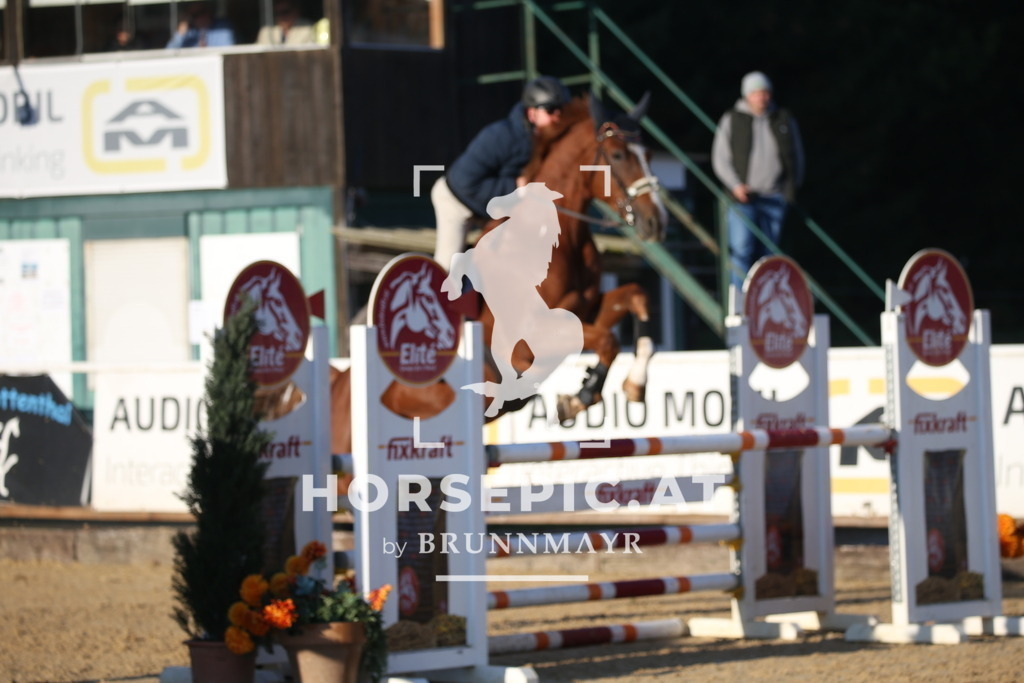 DL2Q0621 | Willkommen bei Brunnmayr - Design & Fotografie – Ihrem Spezialisten für Reitturniere und Pferdeveranstaltungen in Oberösterreich, Salzburg und Bayern! Seit über 17 Jahren sind wir leidenschaftlich dabei.