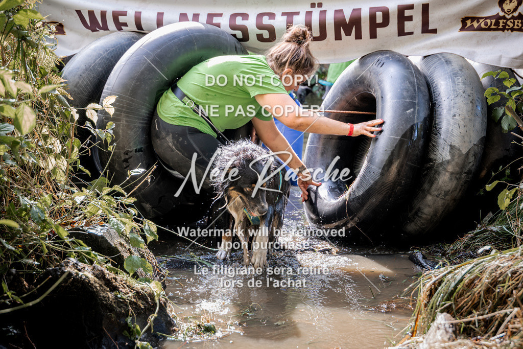 nelerasche_Hunsrück2026_Sa1400-1500_60 | nelerasche