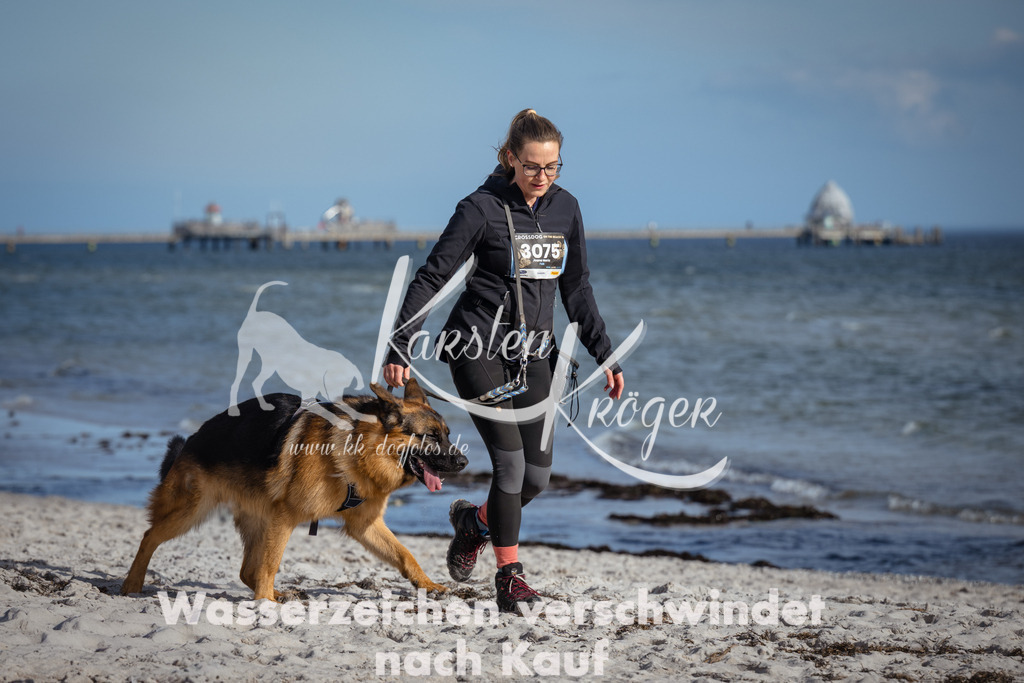 1352_ZZ94255 | kk-dogfotos