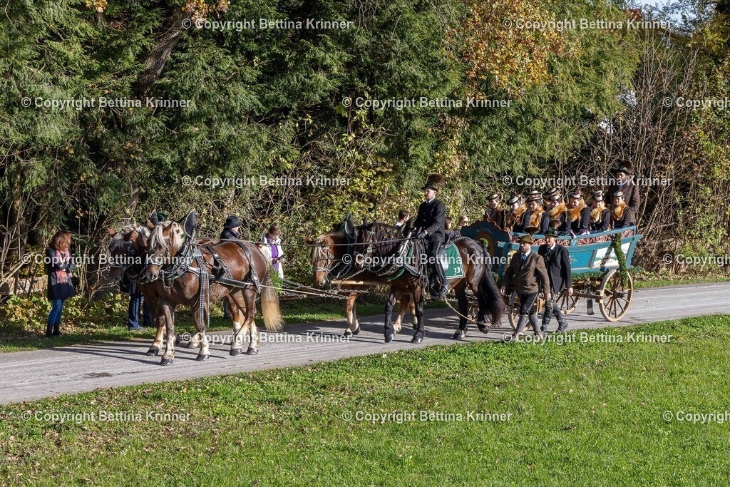 LBT24-399 | foto-bettina-krinner - Realisiert mit Pictrs.com
