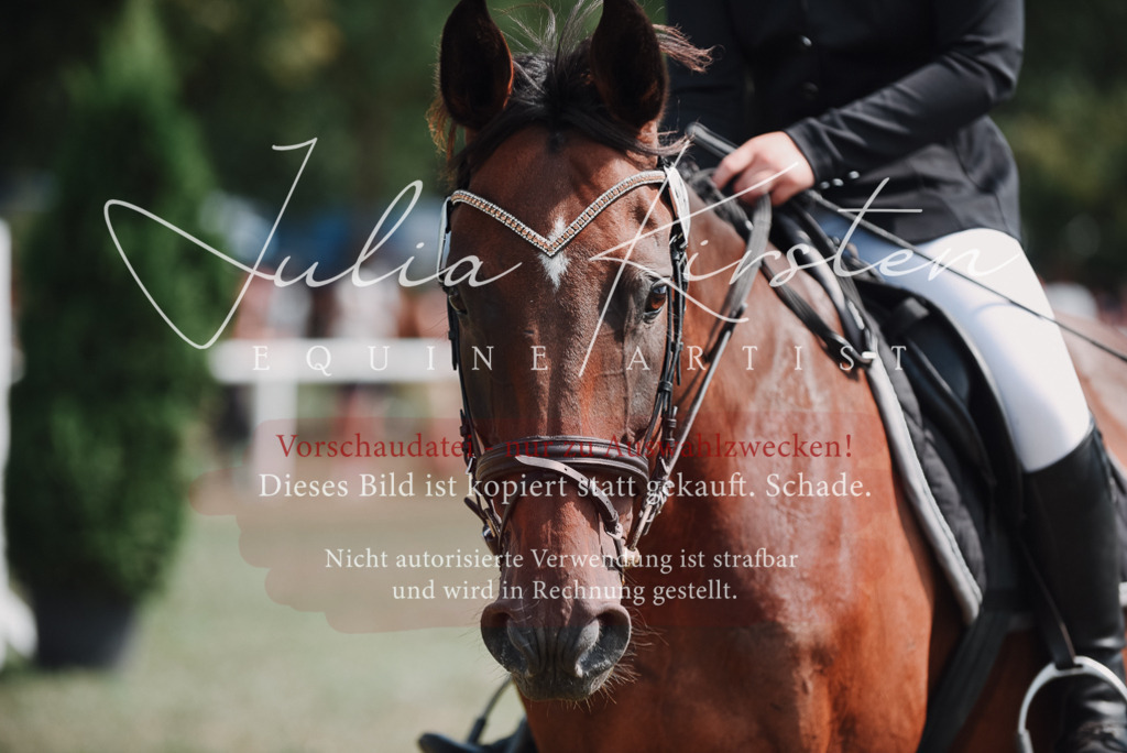 DSC_5786 | Pferde- und Turnierfotografie in Westsachsen. Pferdeportraits, Auftragszeichnungen und intuitive Kunst.