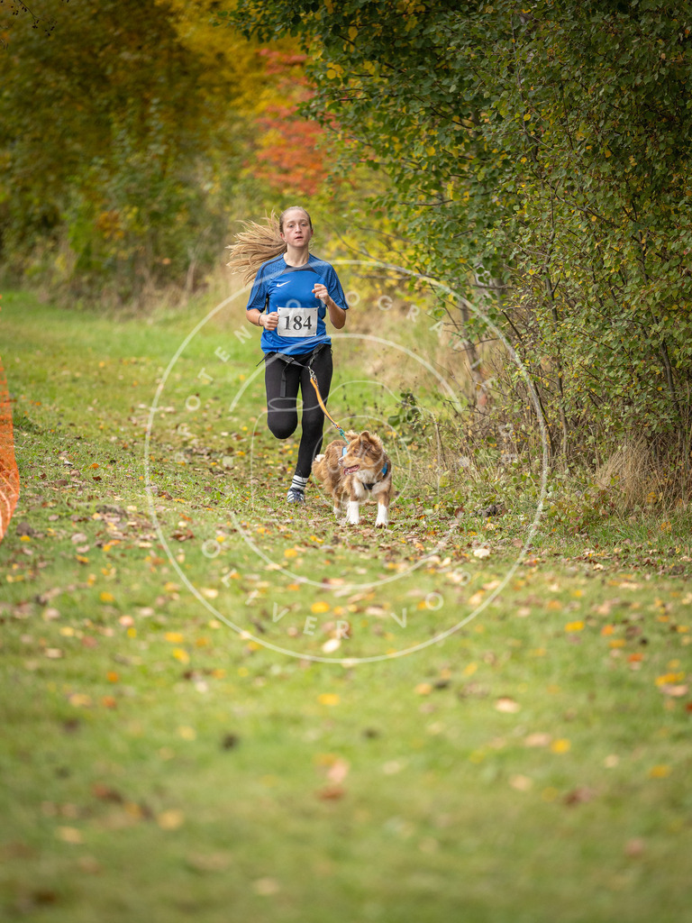 Pfotenfotografie_DV3A3603 | Hundefotografie, Tierfotograf, Pfotenfotografie, Fotoshooting Hund, Hunde Portrait, Hundesport, Hundeportraits, Heideshooting, Hunde, Sportfotograf, Hundefotograf, Turnierhundsport, THS,  - Realisiert mit Pictrs.com