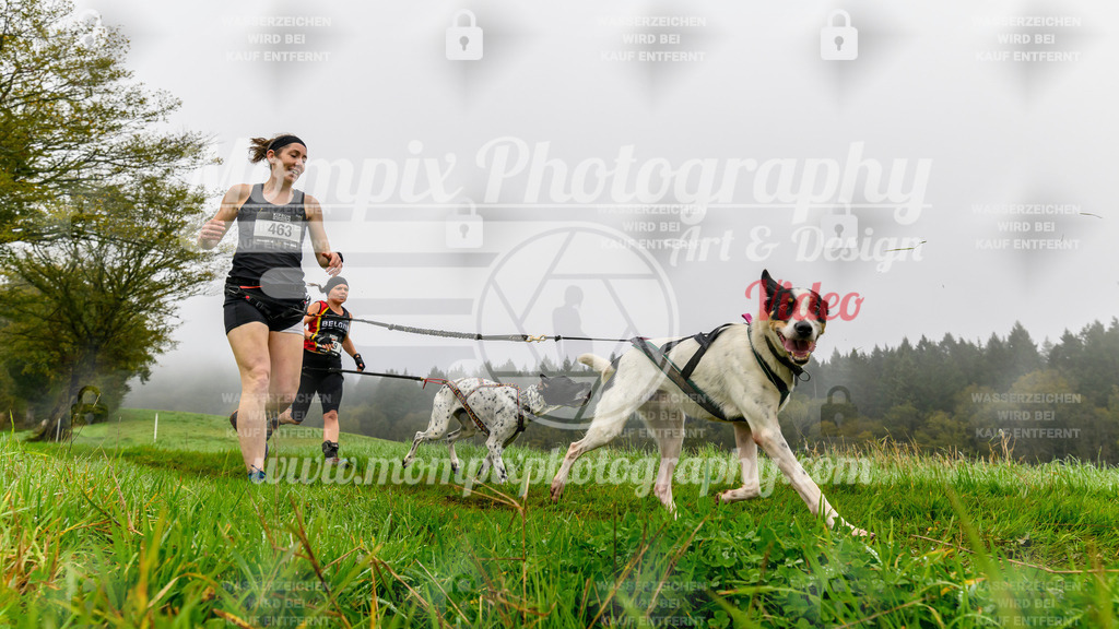 MompixPhotography_20TSB_E5_Run-74 | PayLife