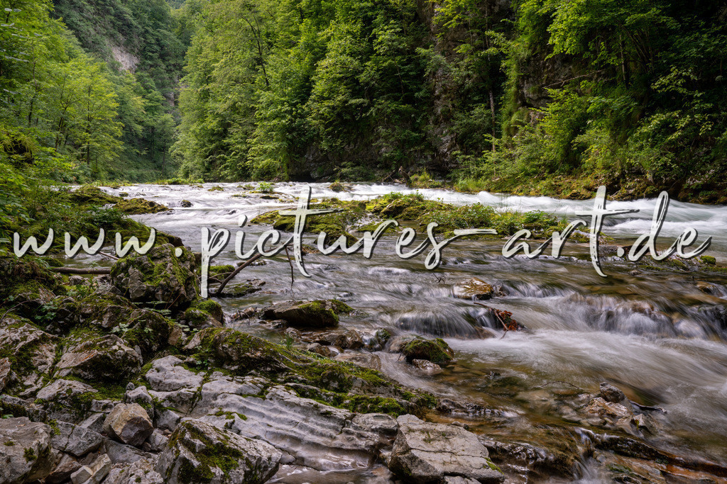 DSC09796 | pictures-art.de