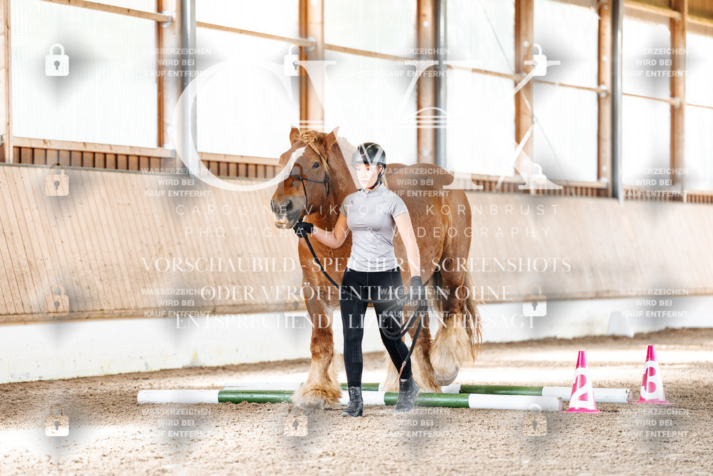 CK905440 | Turnierfotografie Pferdefotografie Trier Rheinland-Pfalz Pferdesport Reitsport Tierfotografie Sportfotografie Pferdevideo Pferdevideografie Equestrianvideography equestrianphotography  - Realisiert mit Pictrs.com