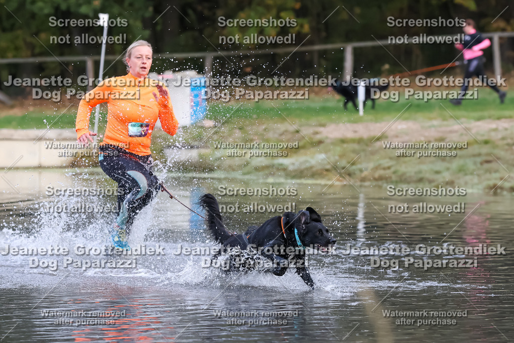 Dog Paparazzi - Strongdog 10-25-6386 | Dog Paparazzi Jeanette Grottendiek Fotografie & Videografie - Realisiert mit Pictrs.com