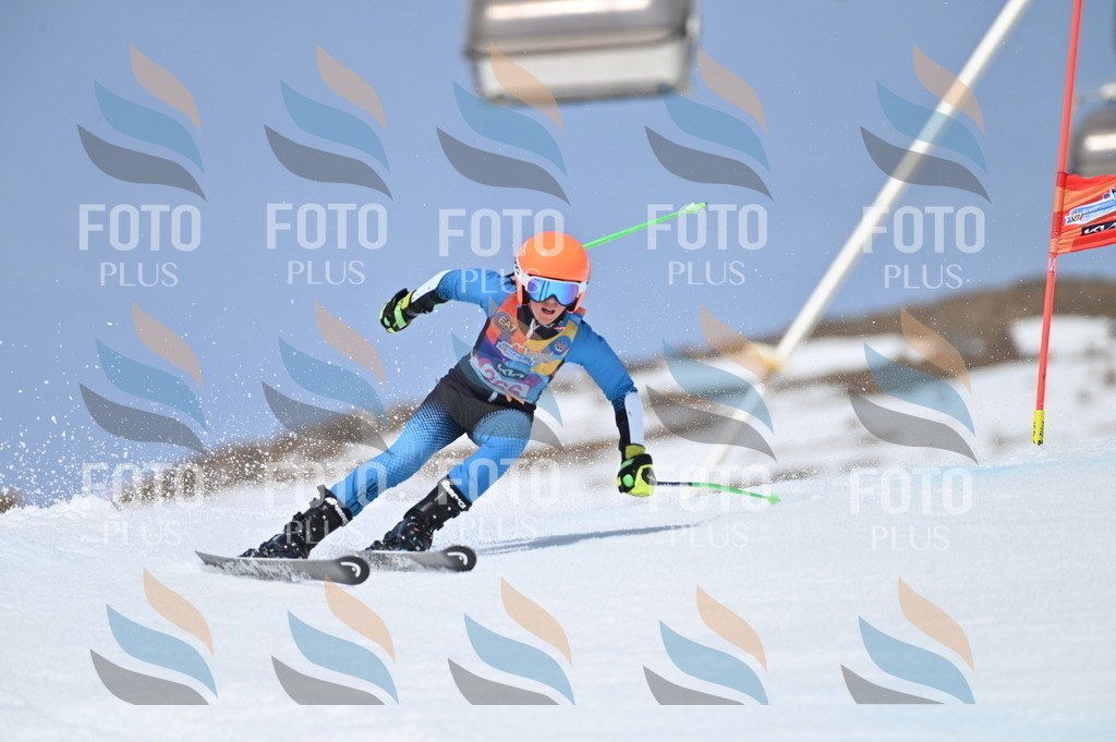 BGV_3950 | holidayphoto