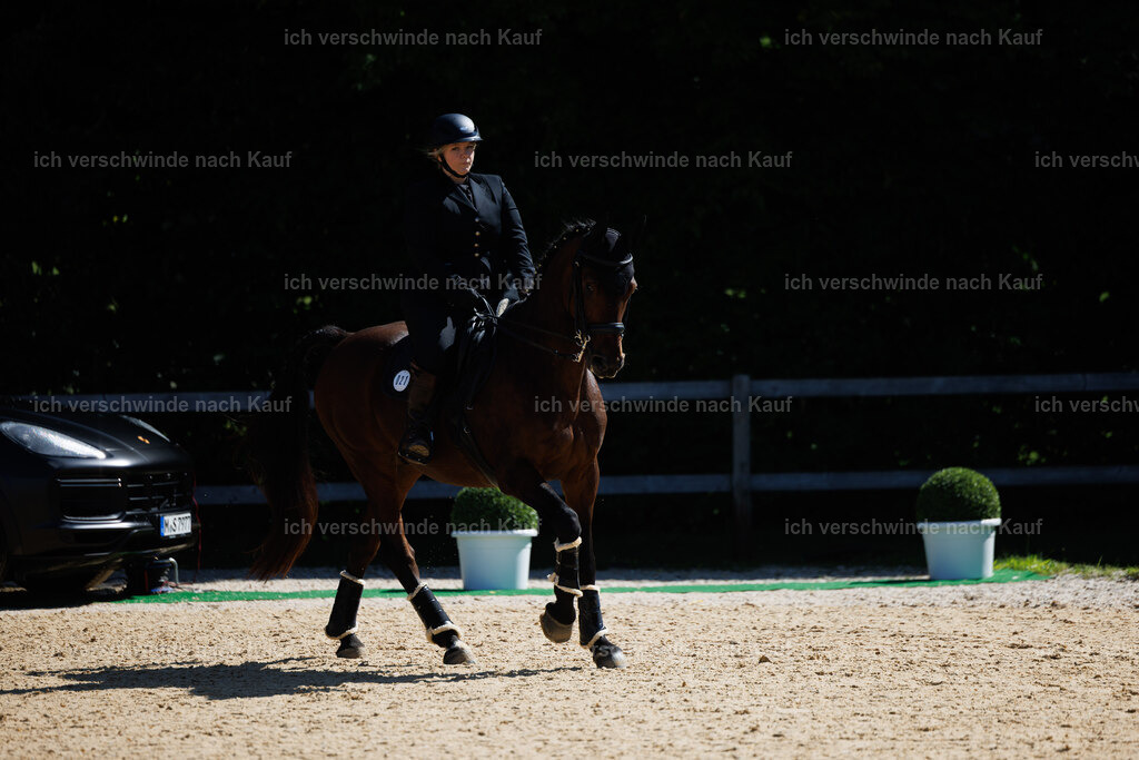 Lara_21_FHC2025-20 | working equitationturnier fotograf videograf stoibphotography marixx film working equitation deutschland reitsport turnierfotografie eventfotografie equestrian events