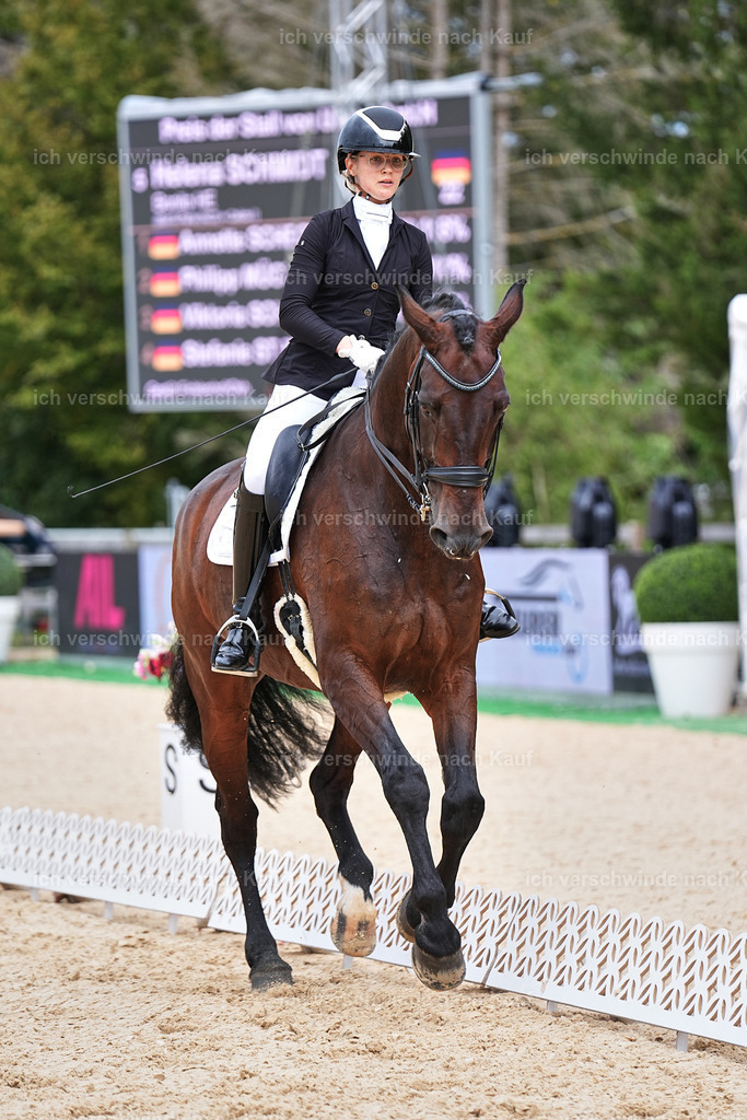 04_1-022-Dressur M__ -Marixx-2770 | working equitationturnier fotograf videograf stoibphotography marixx film working equitation deutschland reitsport turnierfotografie eventfotografie equestrian events