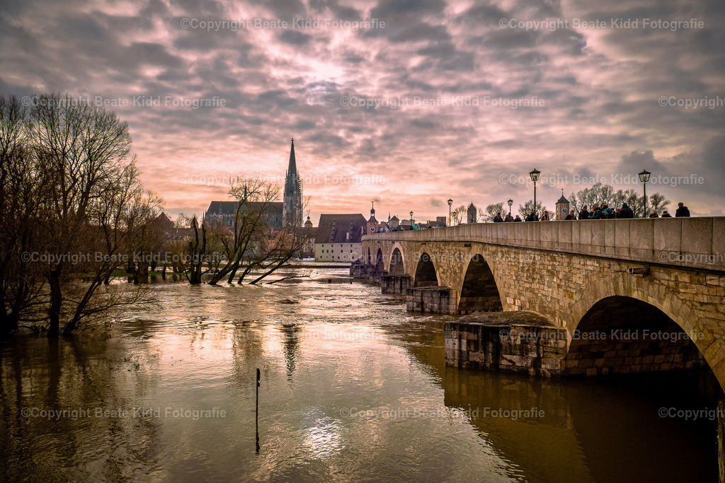 P1890785 | beatekidd-fotografie - Realisiert mit Pictrs.com