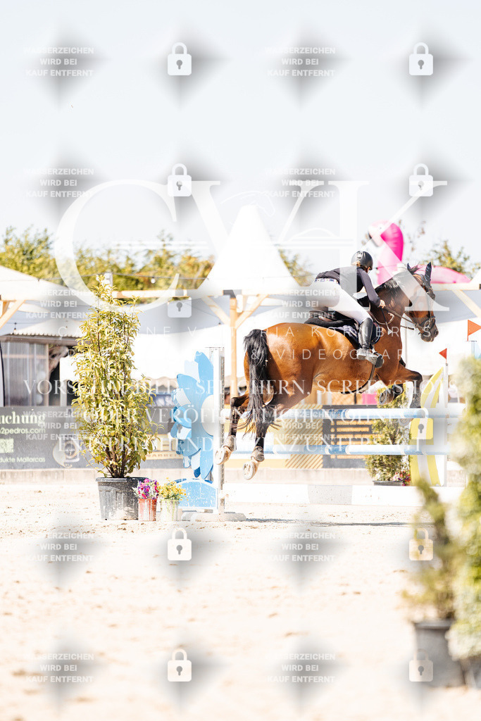 CK909964 | Turnierfotografie Pferdefotografie Trier Rheinland-Pfalz Pferdesport Reitsport Tierfotografie Sportfotografie Pferdevideo Pferdevideografie Equestrianvideography equestrianphotography  - Realisiert mit Pictrs.com