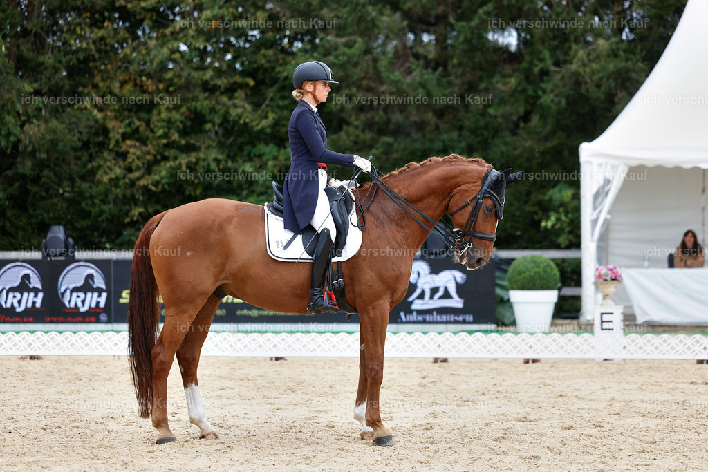 11-238-Dressur S___-StoibPH-967 | working equitationturnier fotograf videograf stoibphotography marixx film working equitation deutschland reitsport turnierfotografie eventfotografie equestrian events
