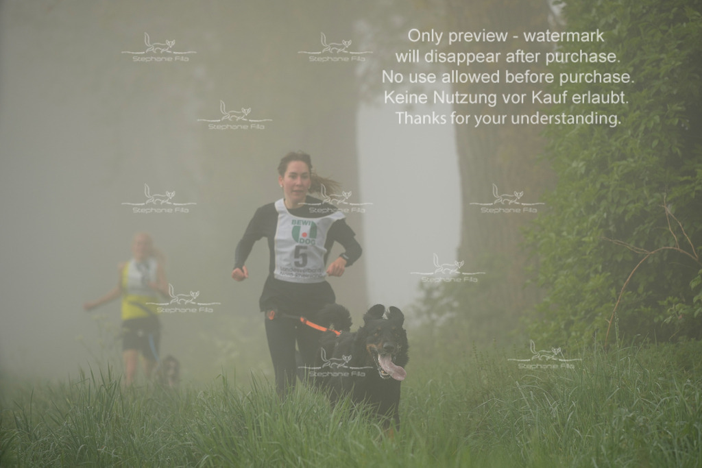 SA_GL2-23 | stephaniefillaphotographie - Realisiert mit Pictrs.com