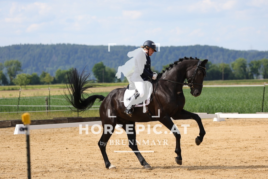 0P6A9111 | Willkommen bei Brunnmayr - Design & Fotografie – Ihrem Spezialisten für Reitturniere und Pferdeveranstaltungen in Oberösterreich, Salzburg und Bayern! Seit über 17 Jahren sind wir leidenschaftlich dabei.