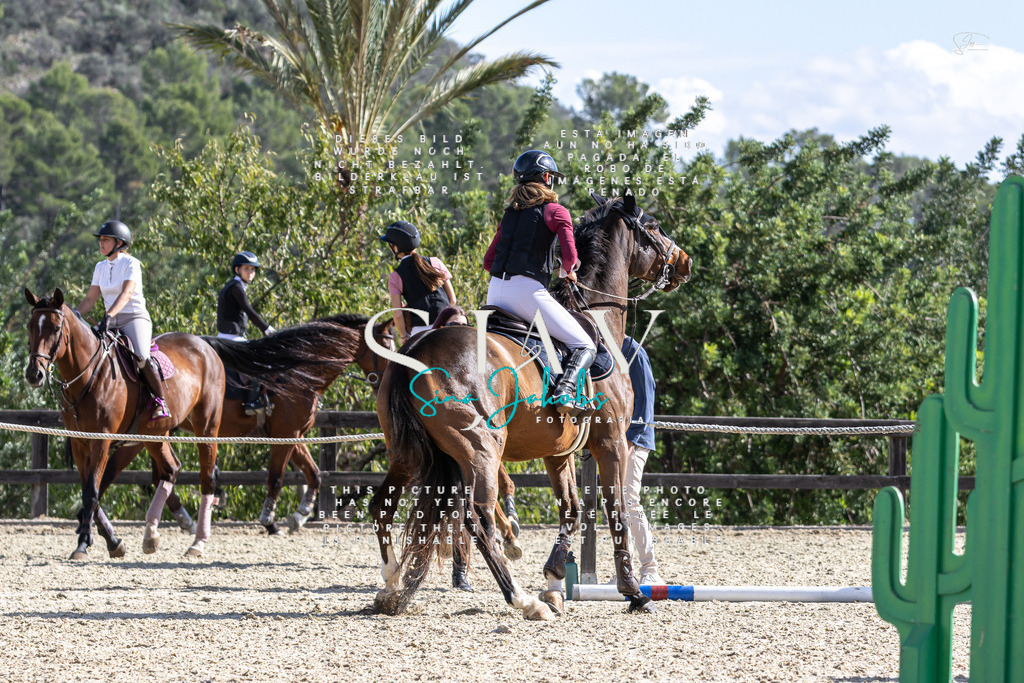 IMG_0359 | s-jay-photography - Realisiert mit Pictrs.com