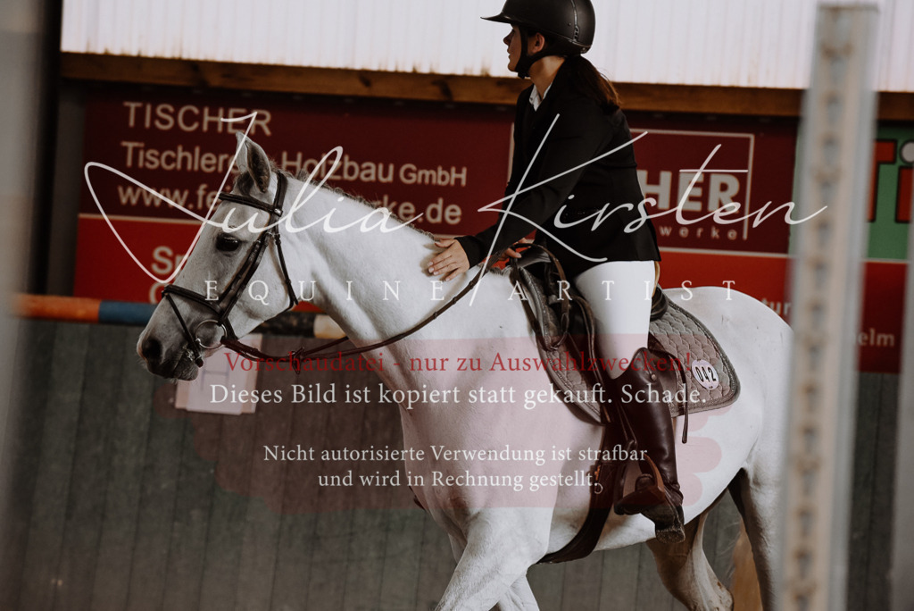 DSC_7430 | Pferde- und Turnierfotografie in Westsachsen. Pferdeportraits, Auftragszeichnungen und intuitive Kunst.