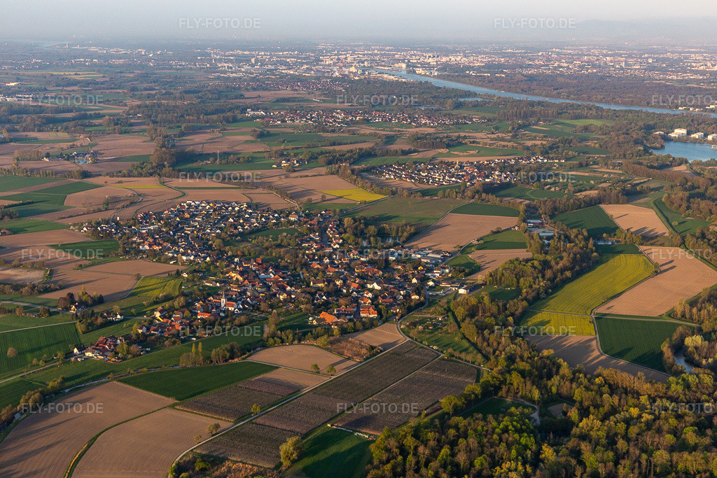 Luftbild: Fluß- Uferbereichen des Rhein in Diersheim im Ortsteil Diersheim in Rheinau im Bundesland Baden-Württemberg in Deutschland. Foto: IMG_126554.jpg vom 25.04.2021 durch Werner Riehm/FLY-FOTO.de