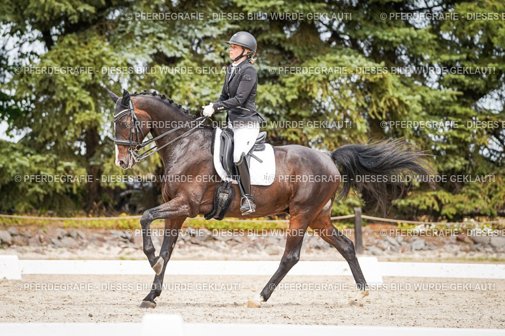 DSC05700 | Pferdegrafie