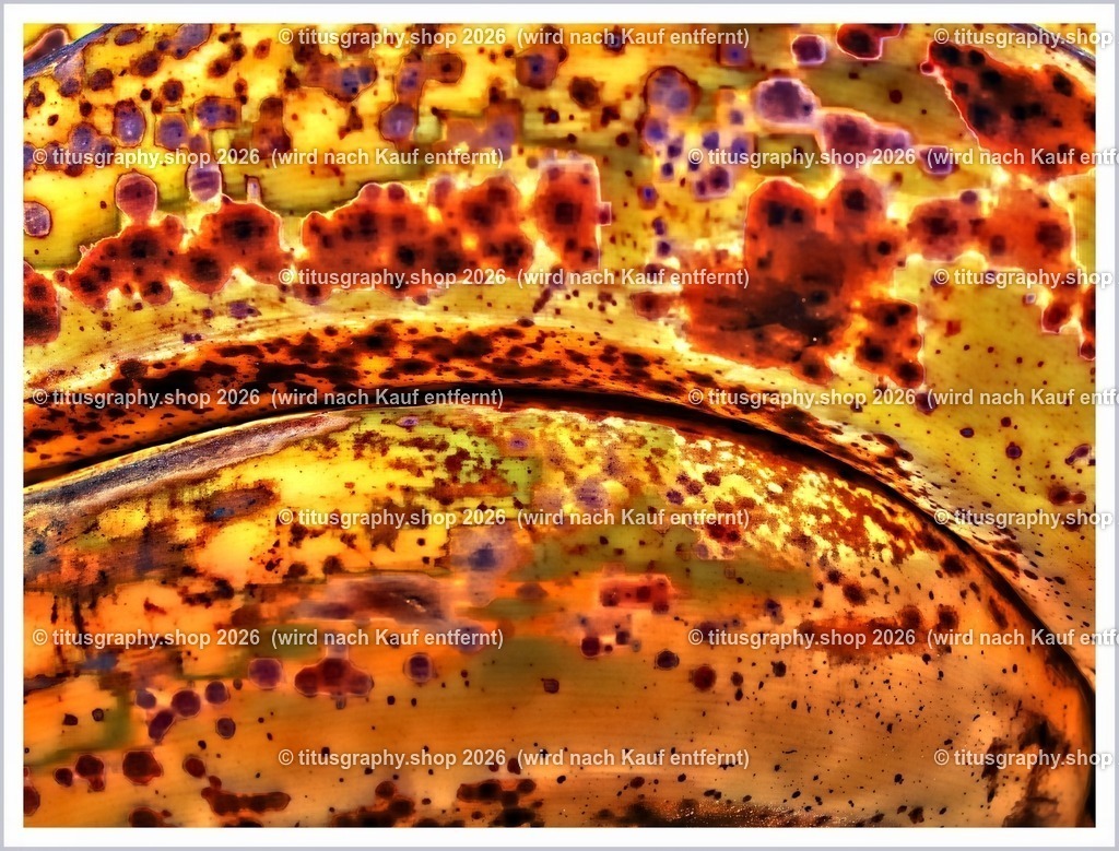 titusgraphy_P4065989-vz-ln_pe | titusgraphy-shop: Geschenkideen mit Qualitätsfotos. titusgraphy-shop: gift ideas with quality photos. titusgraphy-shop: idées cadeaux avec photos de qualité.  - Realisiert mit Pictrs.com