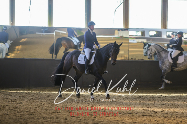 IMG_2412 | Turniersportfotografie; Pferdefotografie; Dressurfotografie