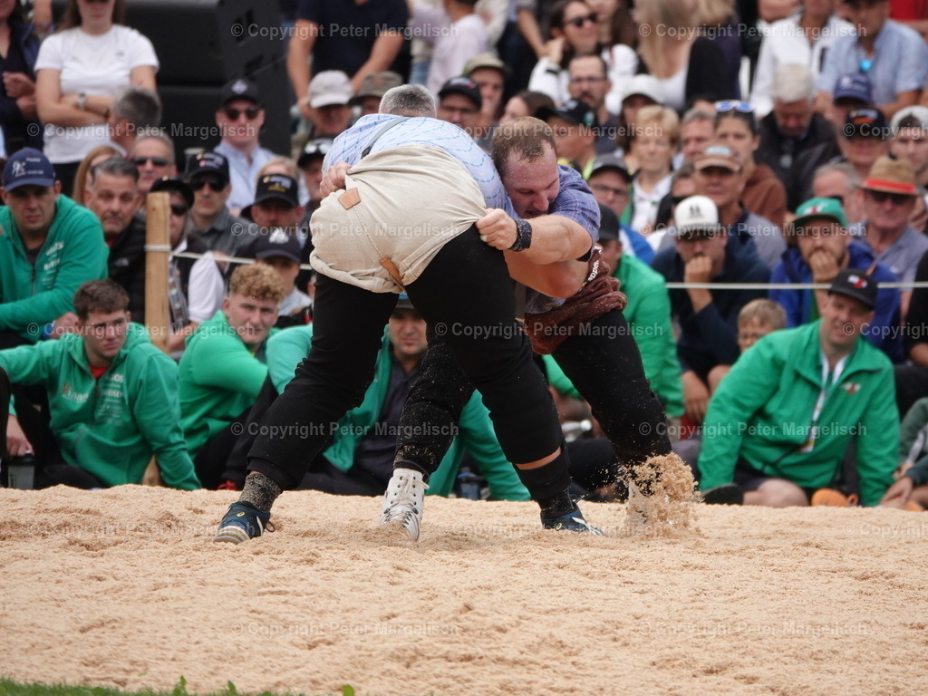 DSC08361 | Schwingen - Realisiert mit Pictrs.com