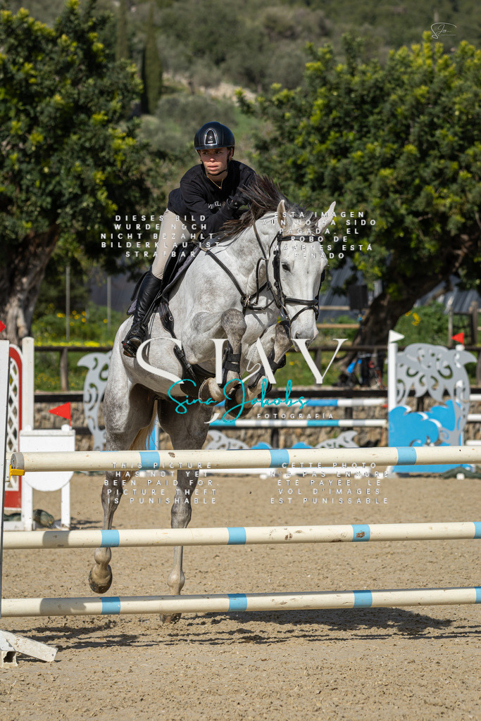 IMG_6691 | s-jay-photography - Realisiert mit Pictrs.com