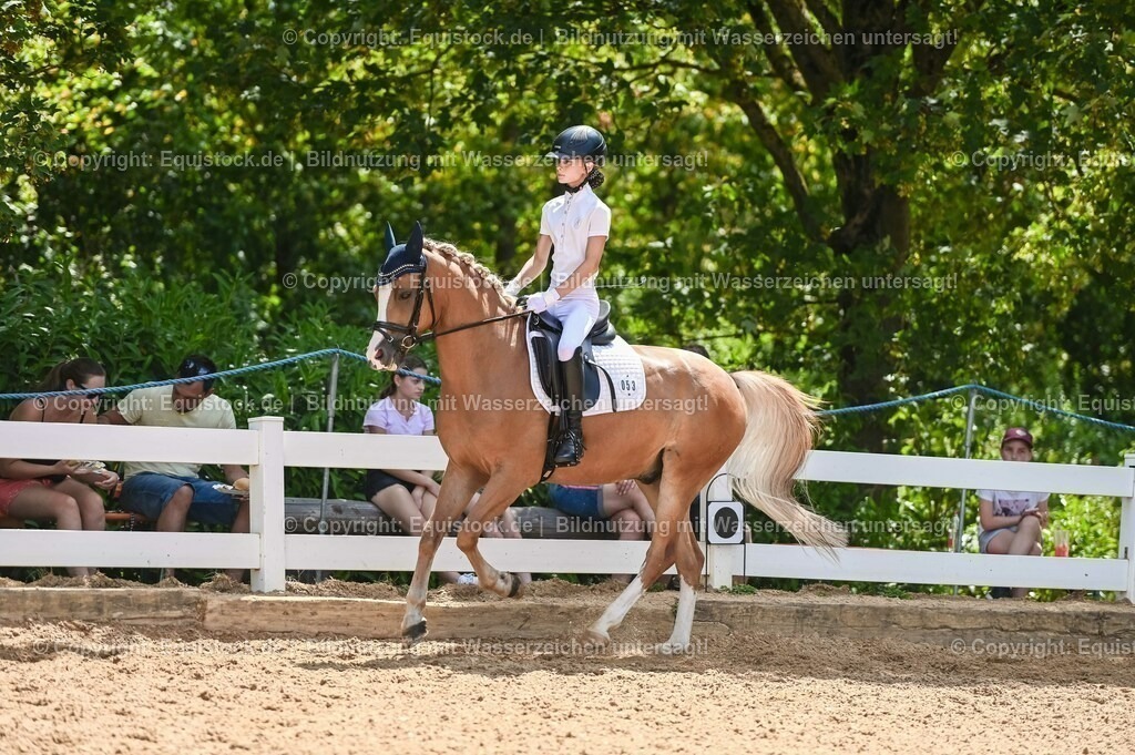 20230715_09_Dressur-WB_0280 | equistock