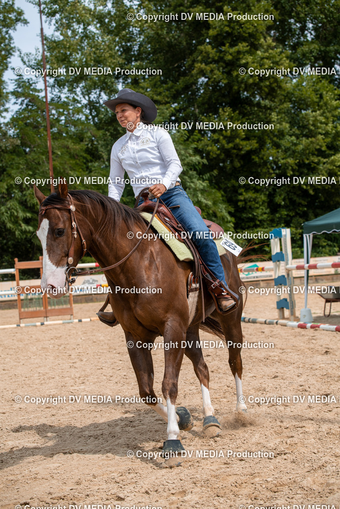 EWP_6180 | dv-media-shop - Realisiert mit Pictrs.com