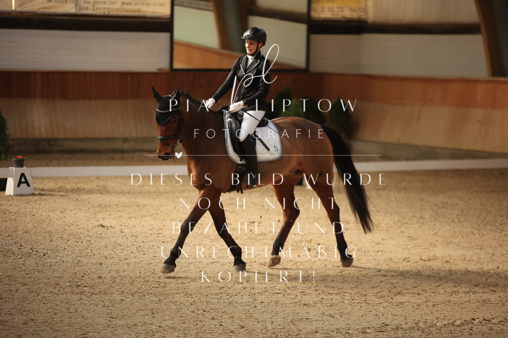 IMGT1370 | pl-fotografie