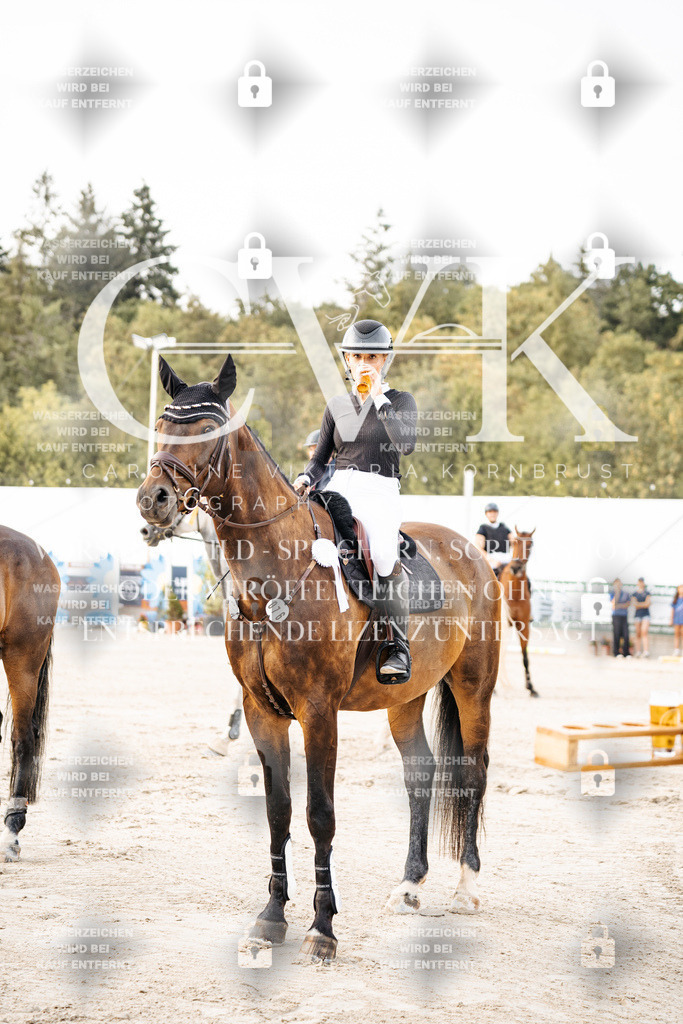 CK704250 | Turnierfotografie Pferdefotografie Trier Rheinland-Pfalz Pferdesport Reitsport Tierfotografie Sportfotografie Pferdevideo Pferdevideografie Equestrianvideography equestrianphotography  - Realisiert mit Pictrs.com