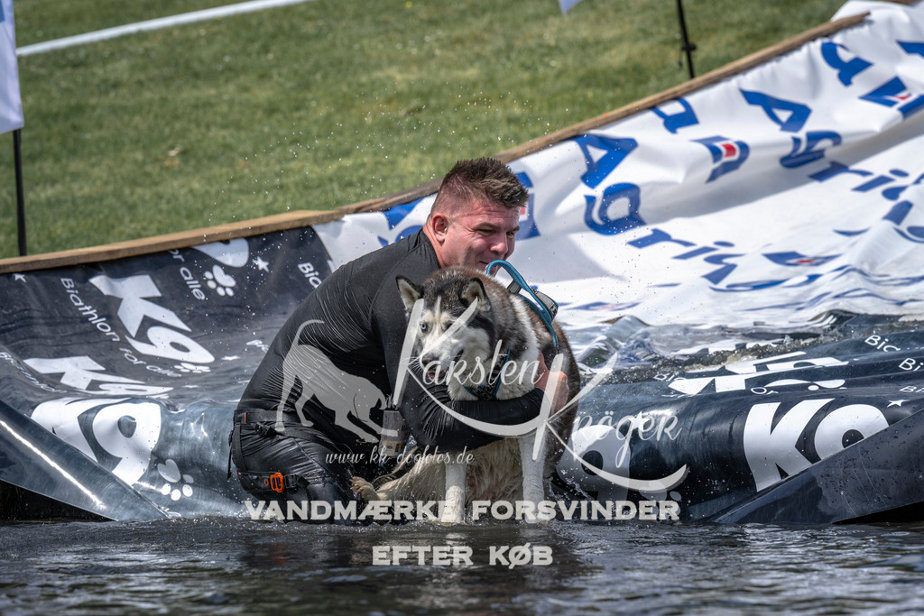 1200_ZZ94711 | kk-dogfotos