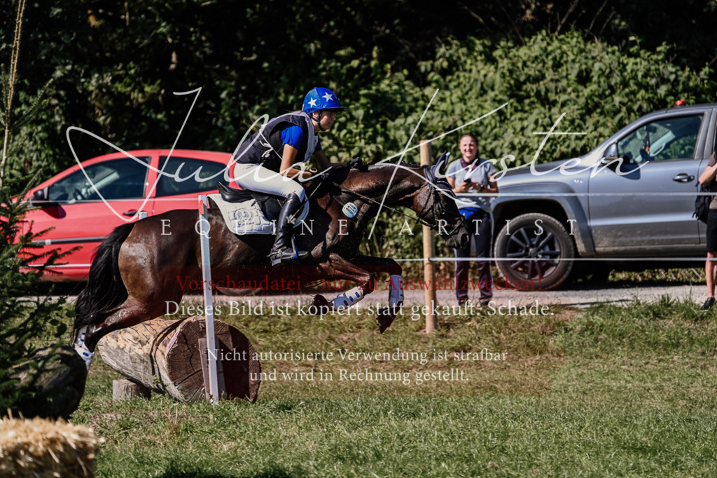 DSC_1691 | Pferde- und Turnierfotografie in Westsachsen. Pferdeportraits, Auftragszeichnungen und intuitive Kunst.